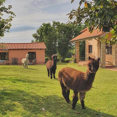 Hotel 3 Alpacas La Campa Екстер'єр фото