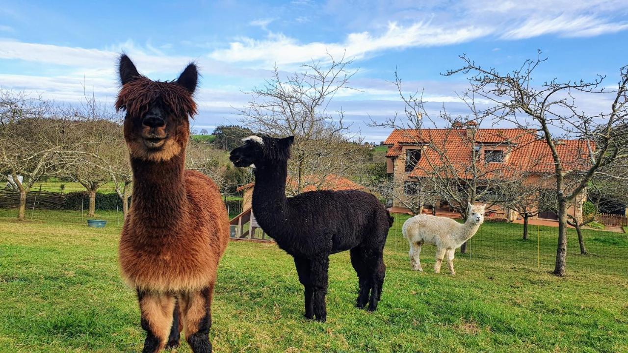 Hotel 3 Alpacas La Campa Екстер'єр фото