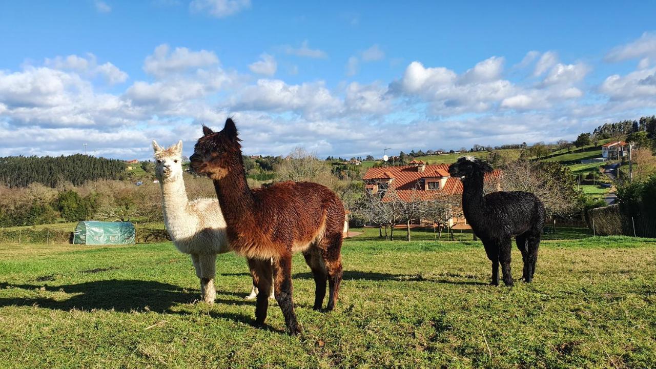 Hotel 3 Alpacas La Campa Екстер'єр фото