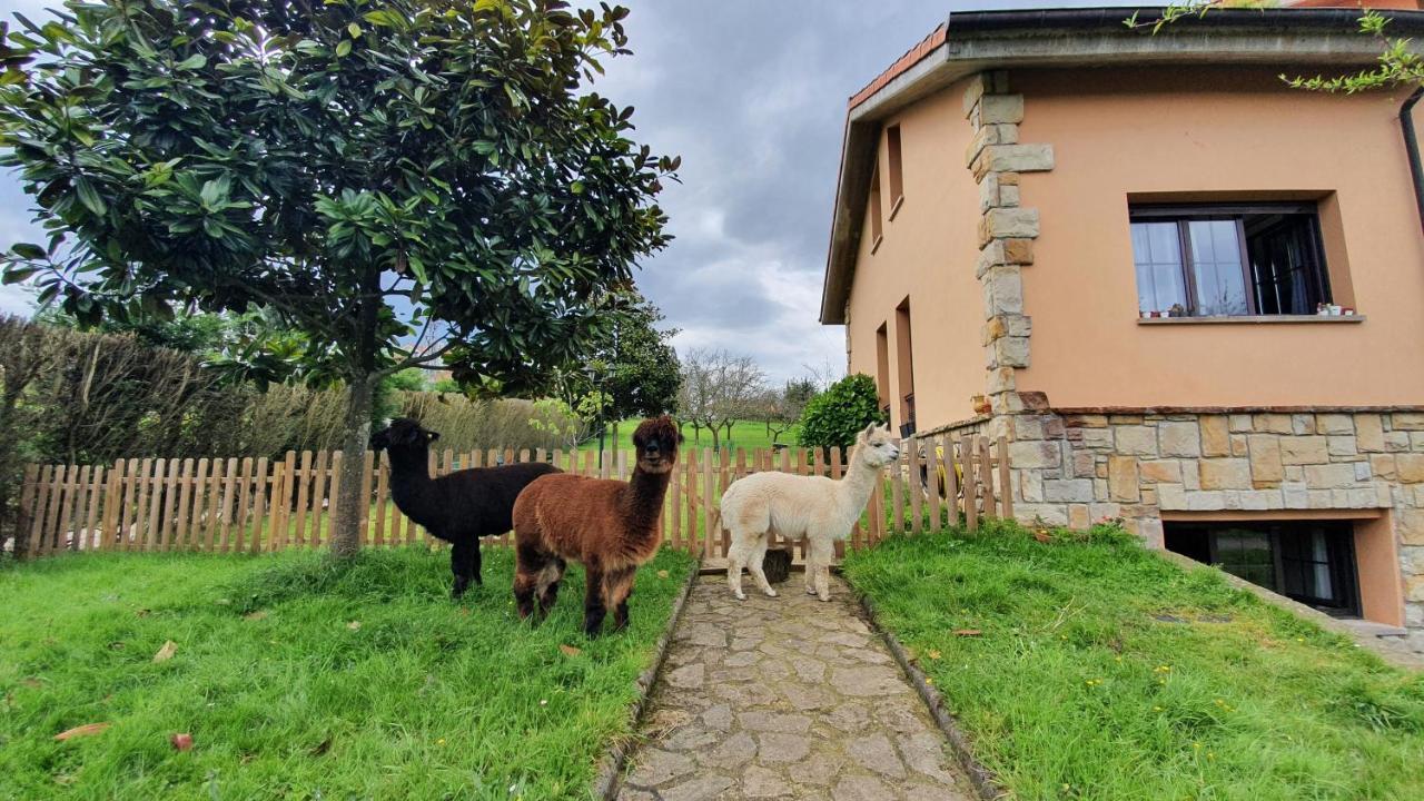 Hotel 3 Alpacas La Campa Екстер'єр фото